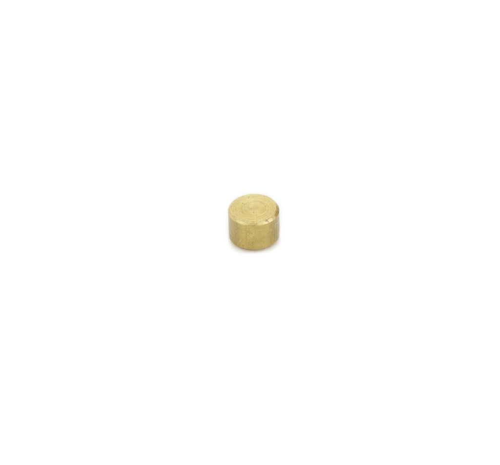 Ammco Brake Lathe 3141 3/16" Brass Plug Replacement (10 Pack)